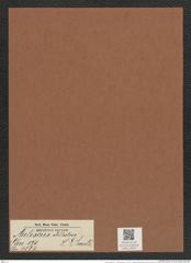 Auliscus stellatus H. L. Smith (de-Toni-Nr.: Genus 171, Species 4364) Zeichnungen Sammlung Grunow Mappe 04321 (Herbarium_W_Grunow_drawings_Folder_04321)